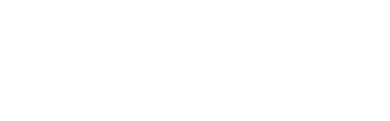 Logo PNS